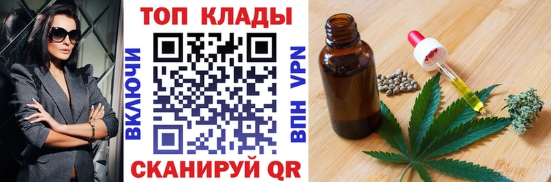 Альфа ПВП Дубна