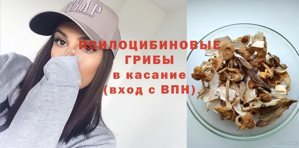 ешки Алзамай